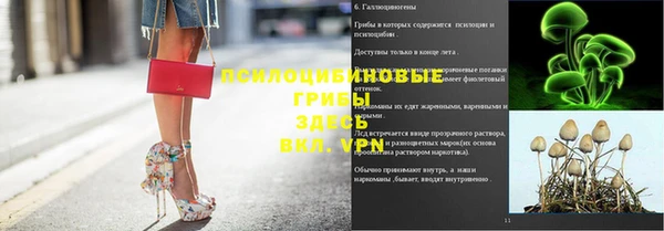 a pvp Лабытнанги
