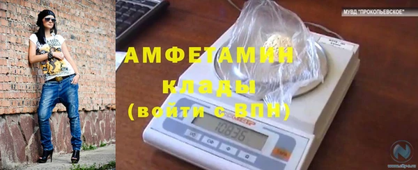 дмт Ладушкин