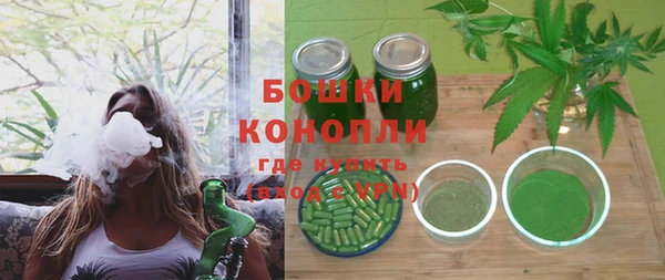 дмт Ладушкин